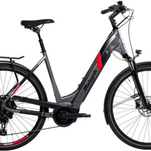 Malaguti Pescarola WV 5.1 - 625 Wh - 28 Zoll - Tiefeinsteiger