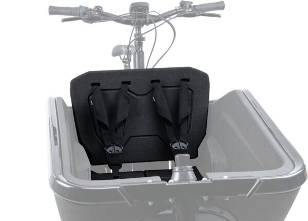 4054571201195 Cube Sicherheitsgurt CARGO