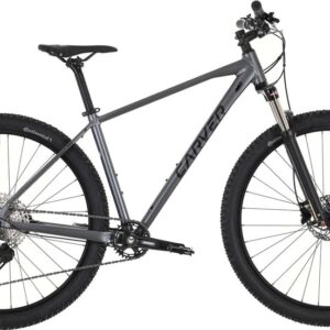 Carver Strict 140 - 29 Zoll - Diamant
