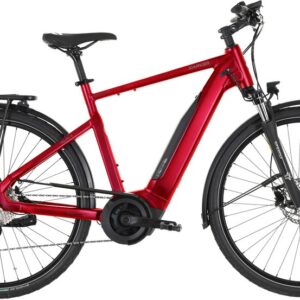 Carver Route E.420 - 500 Wh - 28 Zoll - Diamant