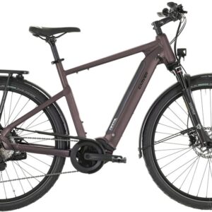 Carver Route E.530 - 625 Wh - 28 Zoll - Diamant - 2026
