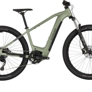 Carver Strict E.520 - 625 Wh - 29 Zoll - Diamant