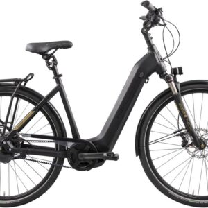 Hercules Futura Pro I-F360+ - 625 Wh - 28 Zoll - Tiefeinsteiger