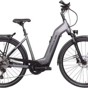 Hercules Intero Pro I-12 - 630 Wh - 28 Zoll - Tiefeinsteiger