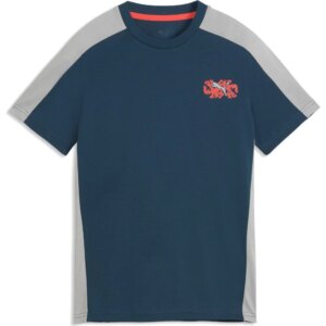 Puma - Puma Active Sports Grafik T-Shirt Kinder rot