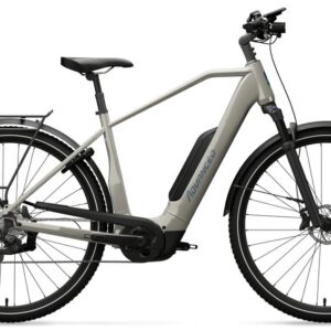 Advanced Trekking Plus Diamant - Deore - 725 Wh - 29 Zoll - Diamant