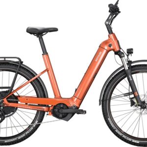 Kettler Quadriga Town & Country P10 - 625 Wh - 27,5 Zoll - Tiefeinsteiger