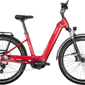 Kettler Quadriga Town & Country CX10 L - 750 Wh - 27,5 Zoll - Tiefeinsteiger