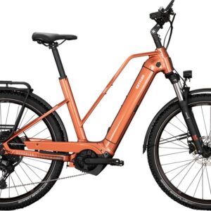 Kettler Quadriga Town & Country P10 - 625 Wh - 27,5 Zoll - Trapez