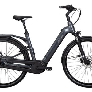 Kettler Quadriga P5 HD Benelux Belt RT - 625 Wh - 28 Zoll - Tiefeinsteiger