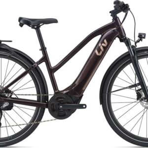 Liv Amiti-E+ 2 - RC Dash - 500 Wh - 28 Zoll - Trapez