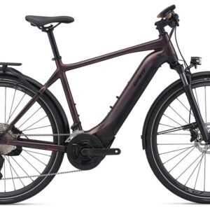 Giant Explore E+ Pro 1 - RC Dash - 625 Wh - 28 Zoll - Diamant