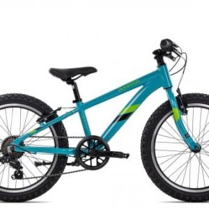 Axess Stipe 20