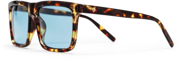 7340089111383 CHPO Bruce Turtle Brown - Light blue