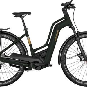 Bergamont E-Horizon SUV 6 Amsterdam - 625 Wh - 28 Zoll - Doppelrohr