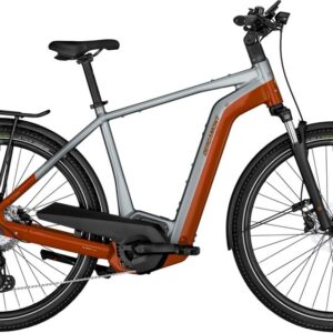 Bergamont E-Horizon Edition LTD Gent - 750 Wh - 28 Zoll - Diamant