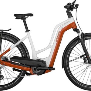 Bergamont E-Horizon Edition LTD Amsterdam - 750 Wh - 28 Zoll - Doppelrohr