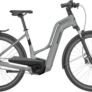 Bergamont E-Horizon N5e FH Belt Amsterdam - 500 Wh - 28 Zoll - Doppelrohr