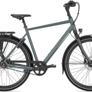 Gazelle Chamonix S8 - 28 Zoll - Diamant - 2026