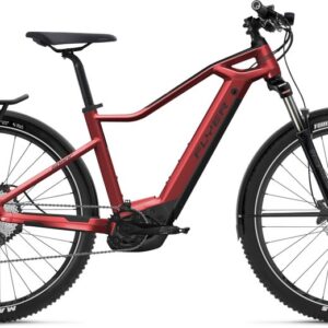 Flyer Goroc1 2.10 - Intuvia - 625 Wh - 27,5 Zoll - Diamant