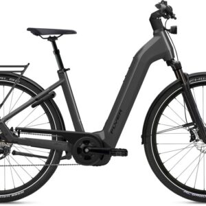 Flyer G1 Gotour 7.10 ABS - 750 Wh - 28 Zoll - Tiefeinsteiger