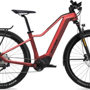 Flyer G2 Goroc2 6.30 HS EU - 750 Wh - 29 Zoll - Diamant