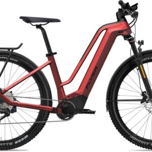 Flyer G2 Goroc2 6.30 HS EU - 750 Wh - 29 Zoll - Tiefeinsteiger