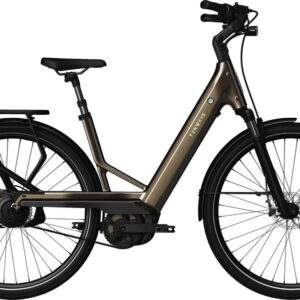 Tenways AGO Performance - 540 Wh - 29 Zoll - Tiefeinsteiger - 2026