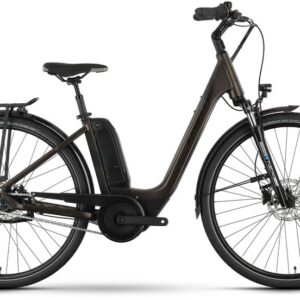 Raymon CityRay E 4.0 SE CB - 500 Wh - 26 Zoll - Tiefeinsteiger