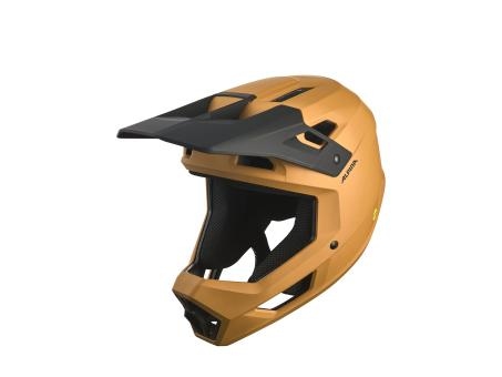 4003692327796 Alpina Pikes MIPS Helm