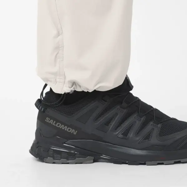 SALOMON - Hose WAYFARER EASE 2.0 PANTS M SILVER CLOUD