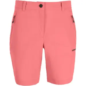 ICEPEAK - Shorts VERMONTVILLE
