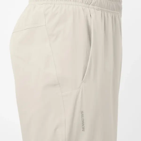 SALOMON - Hose WAYFARER EASE 2.0 PANTS M SILVER CLOUD