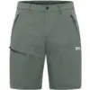 Herren Shorts PICO TRAIL SHORTS M - Bild 1 JACK WOLFSKIN - Shorts PICO TRAIL SHORTS M