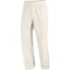 SALOMON - Hose WAYFARER EASE 2.0 PANTS M SILVER CLOUD