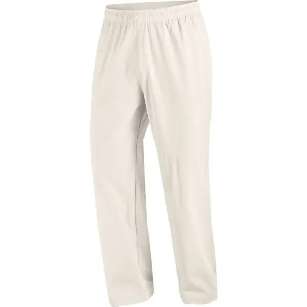 SALOMON - Hose WAYFARER EASE 2.0 PANTS M SILVER CLOUD