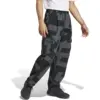 ADIDAS - Hose TERREX Xploric Printed
