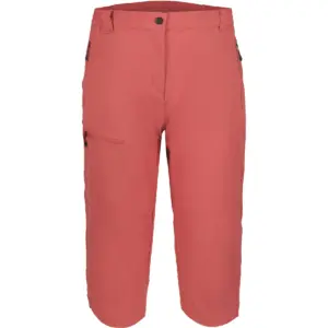 ICEPEAK - Funktionshose BEATTIE